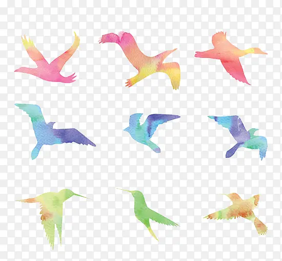 ˮ����-������