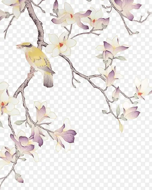 ��ˮ�ʻ���-������