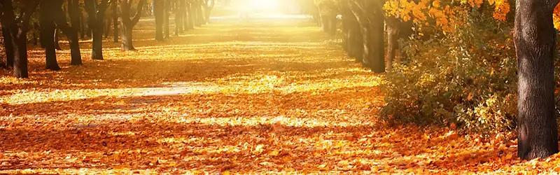 ���챳���ز���Ȼ�����ز�-������