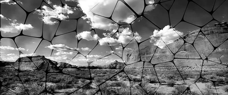 ���Ա���-������