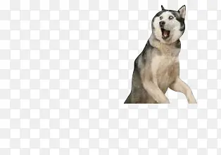 ������Ӱʵ��С��-������