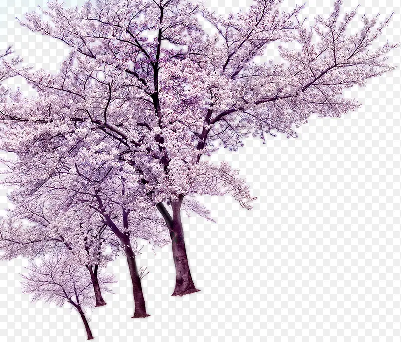 ��-������