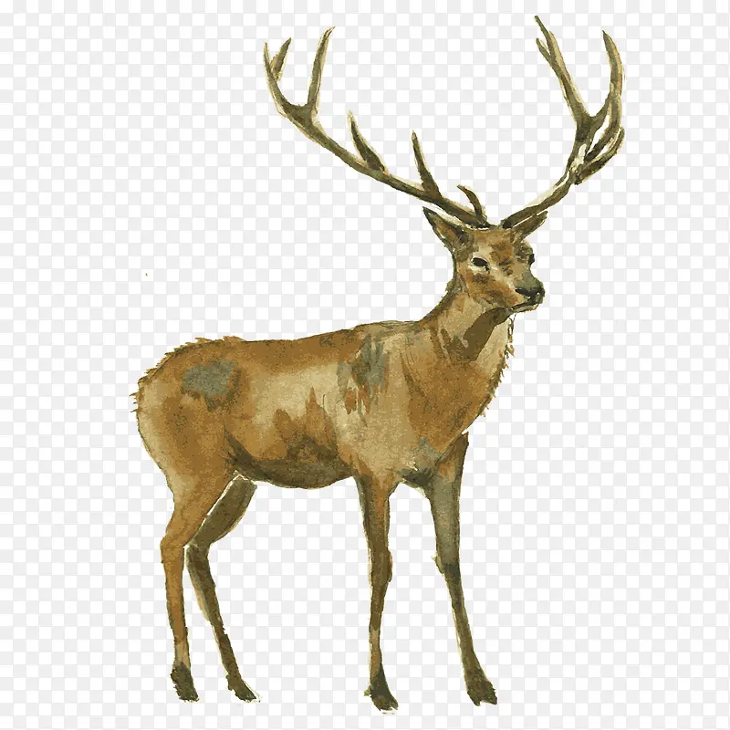 �ֻ���¹-������