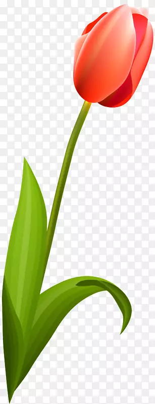 ����ֲ��������ٺϿ�ֲ�ﾥ������-������