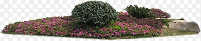 ������Ӱ�̻�԰��Ӱ-������