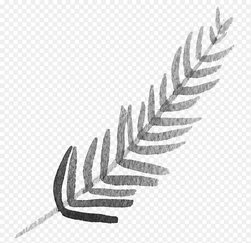 ����ī����֦Ԫ��-������