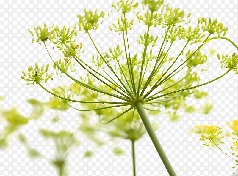 ��������-������