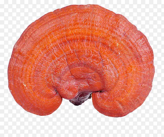 ��ɫ��֥-������