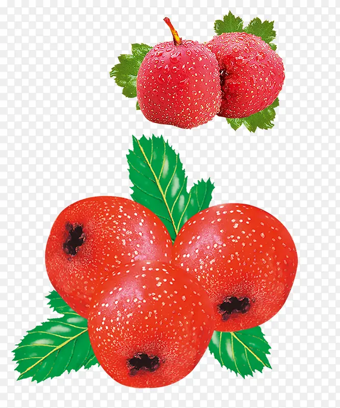 ʳ�� ɽ�-������