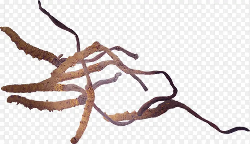 ������Ӱ�����Ĳ�-������