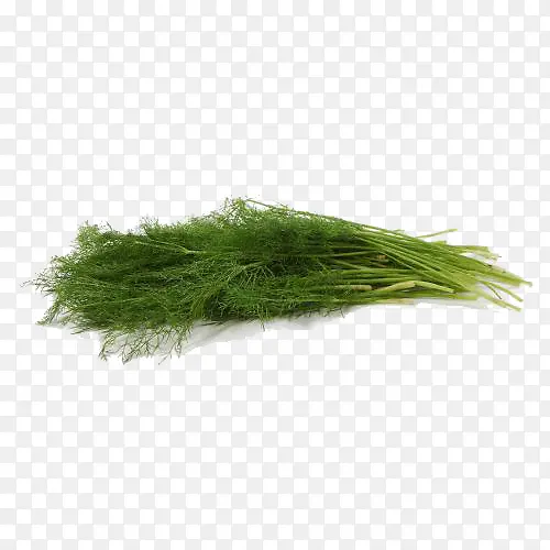 ��������ز�-������