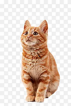 è+��~-������