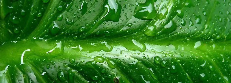 ��Լ����-������