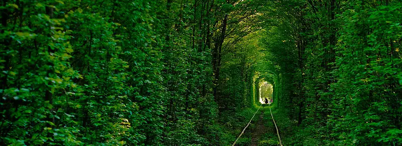 ��Լ����-������