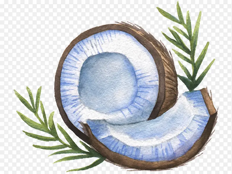 �ֻ�Ҭ��-������