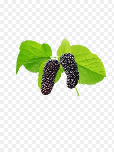 ɣ��-������