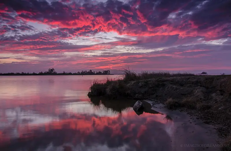 ��ɫ��ϼ�Ƕ���Ӱ-������