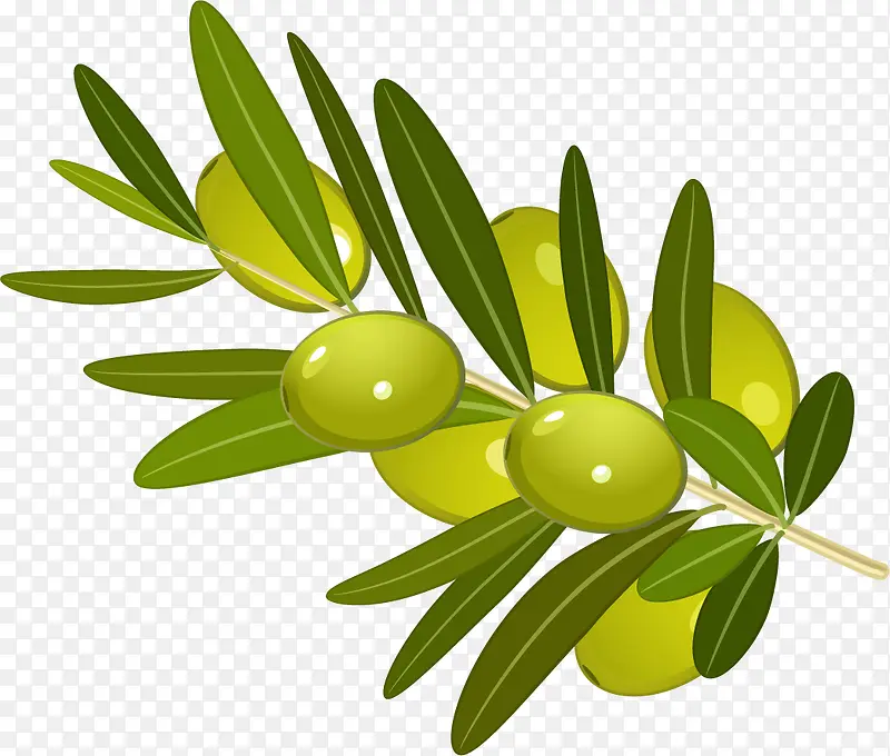 ��ͨ�ֻ����֦-������