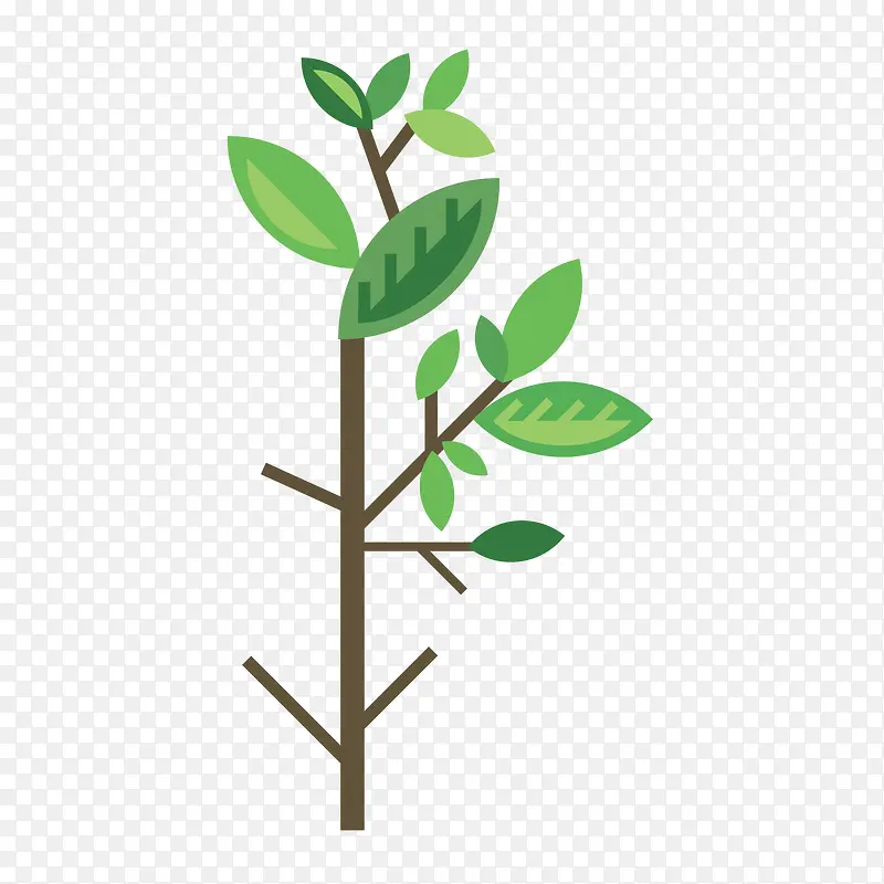 ��Ҷ-������