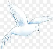 ��ͨ�ֻ��ƽ��-������