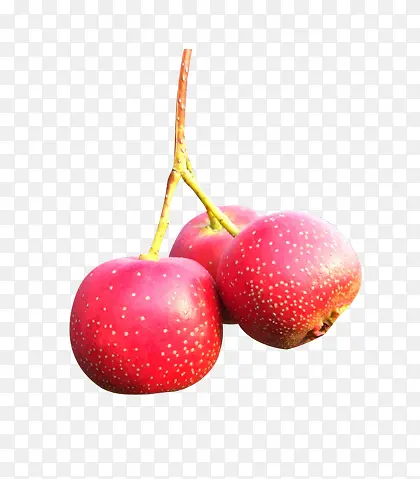 ɽ髹�-������