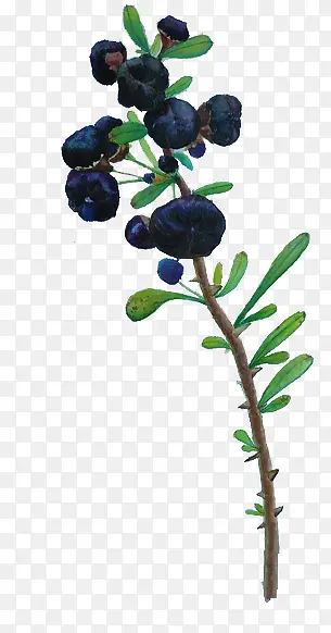 �ֻ�����-������