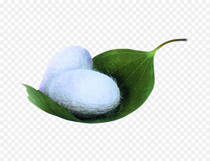 ��˿-������