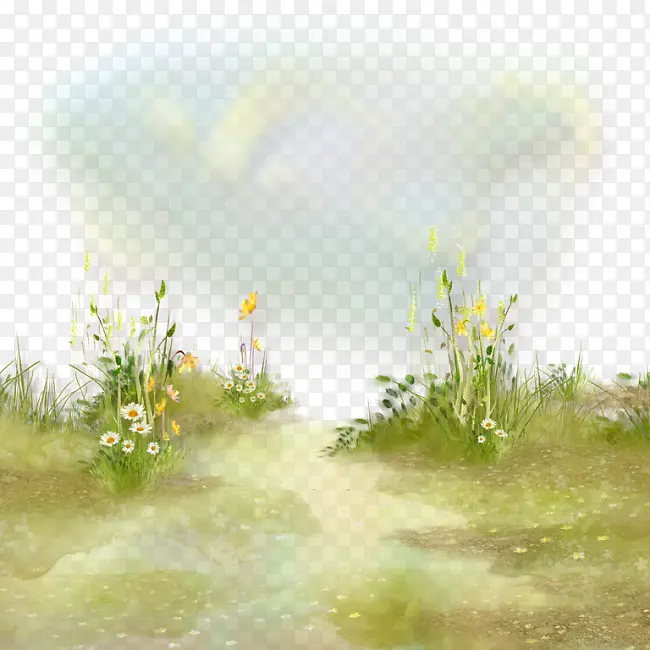 �̲� �ʻ� ����-������