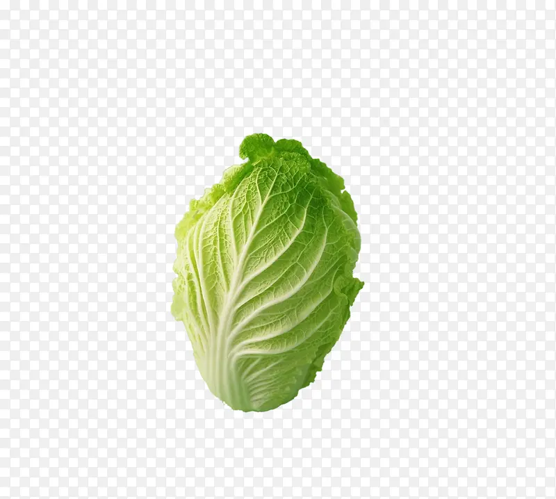 ʳ��-������