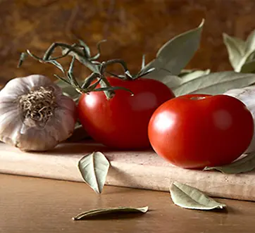 ʳ��-������