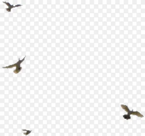 �����ɫ����-������