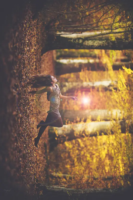 ����������Ӱ����-������