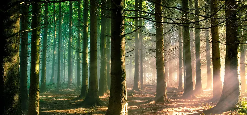 ���ֱ���-������