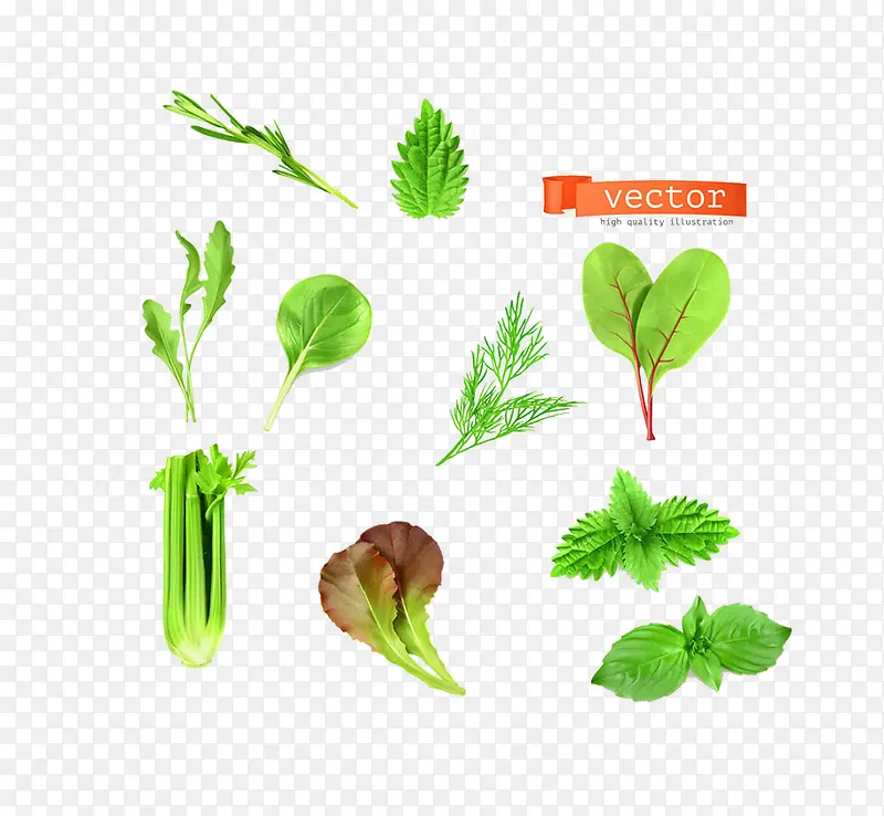 ��Ҷ-������