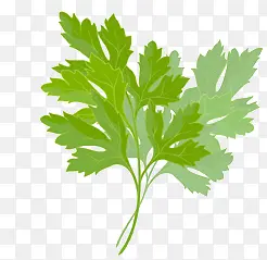 ��Ҷ-������