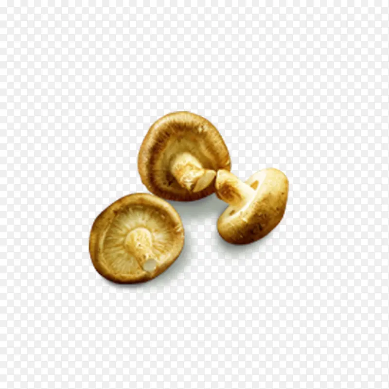 �㹽-������