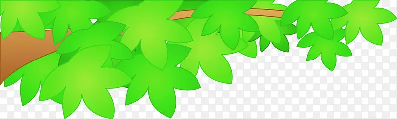 ��ͨ��֦����-������