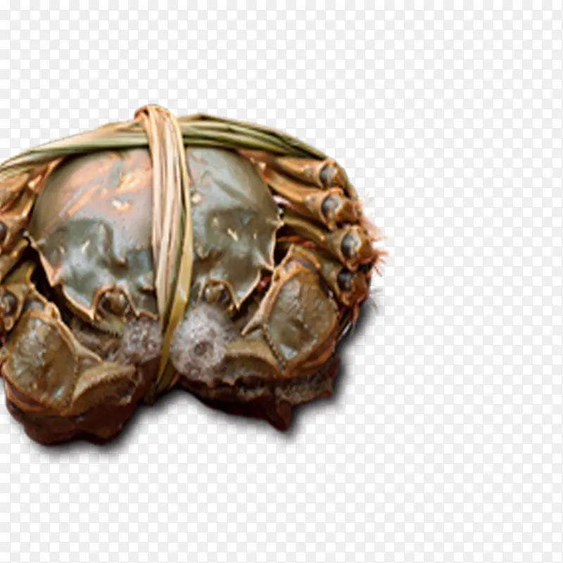 �з-������