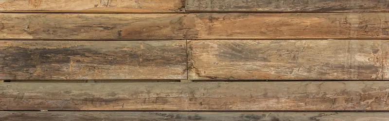 ľ�ʱ���-������