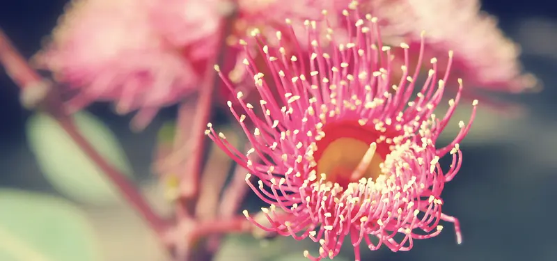 ��Ʒ����-������