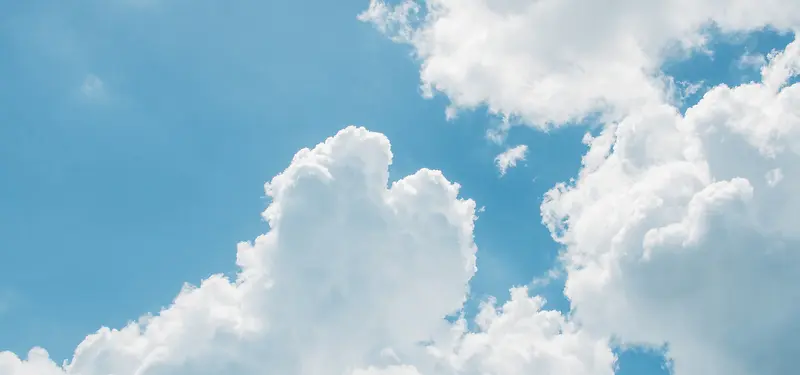 ��Ʒ����-������