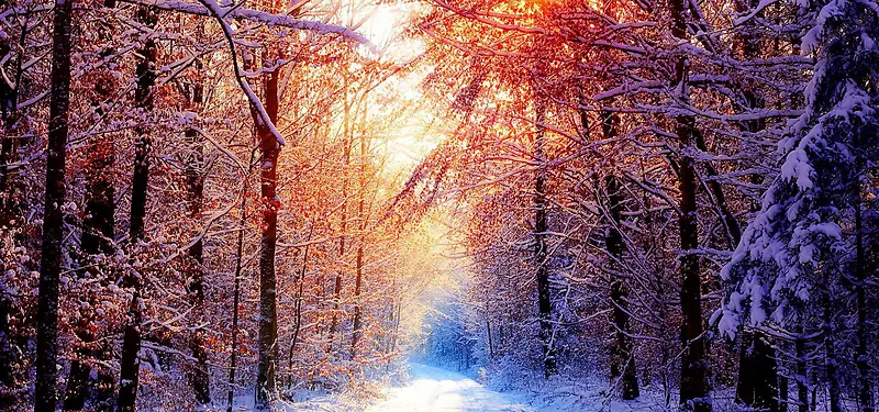 ��Ʒ����-������