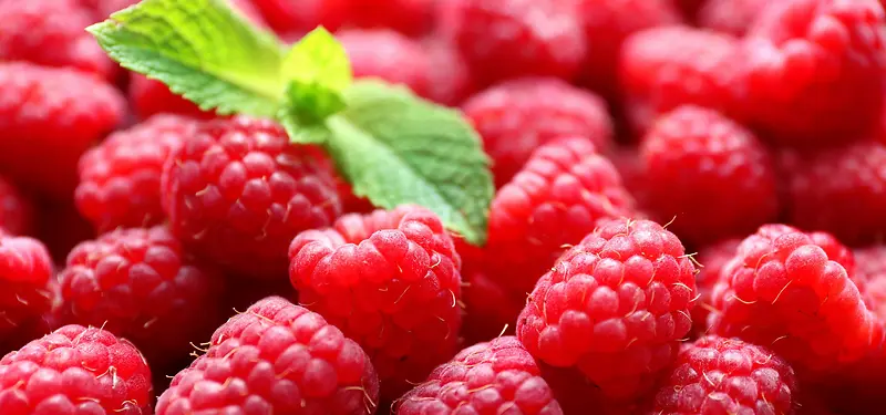 ��Ʒ����-������