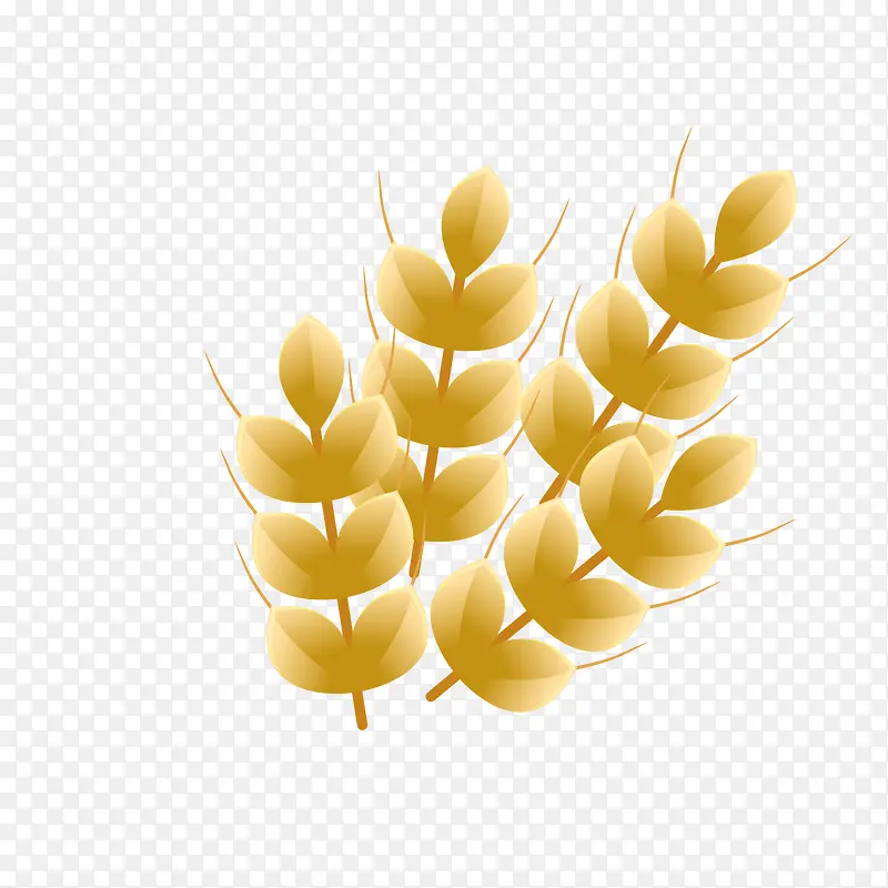 ��ͨ��ɫ����-������