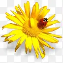 �����ز�-������