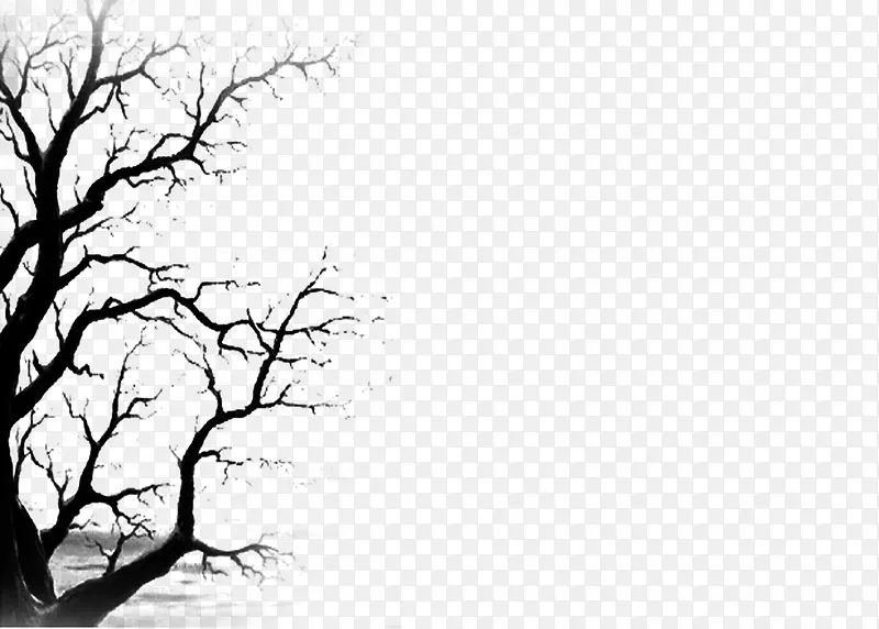 ����Ӱ-������