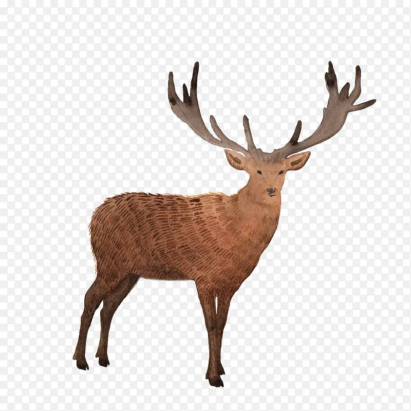 �ֻ涯��-������