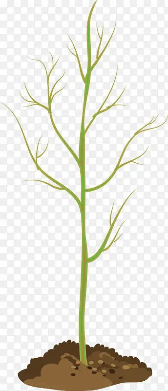 ����ʸ���ز�-������