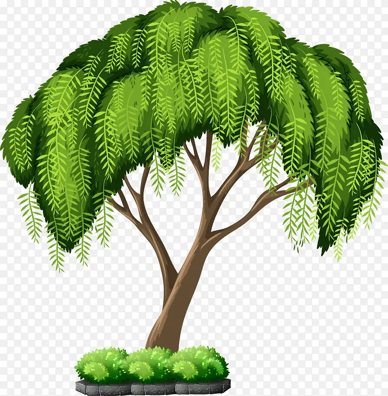 ��ͨ������֦��-������