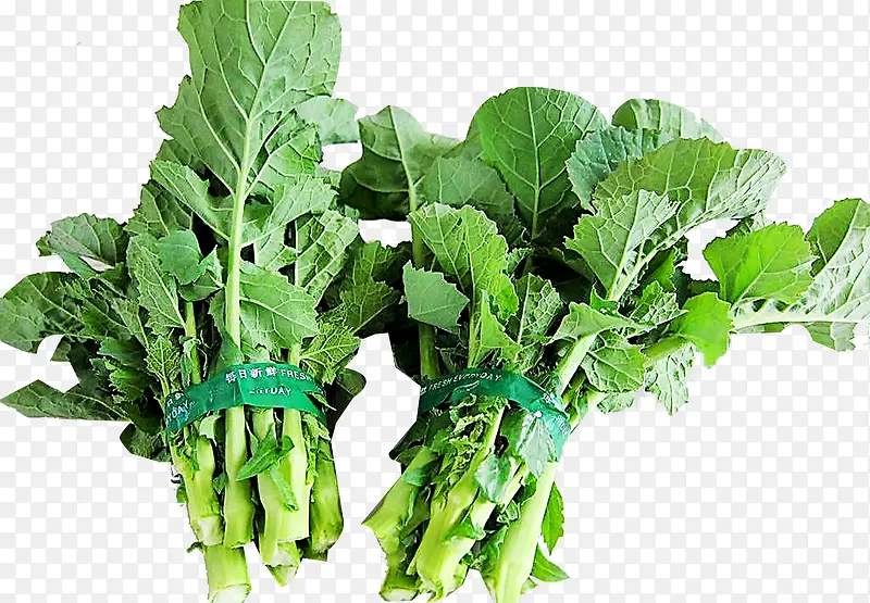 �Ͳ�̦��ɫ�߲�-������